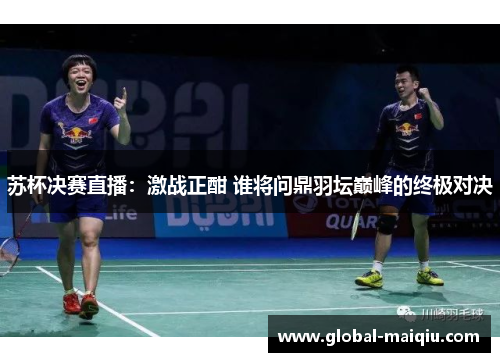 苏杯决赛直播：激战正酣 谁将问鼎羽坛巅峰的终极对决