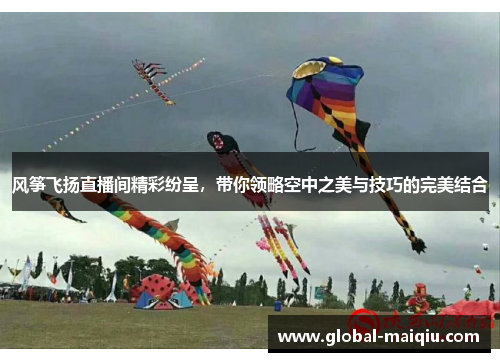 风筝飞扬直播间精彩纷呈，带你领略空中之美与技巧的完美结合